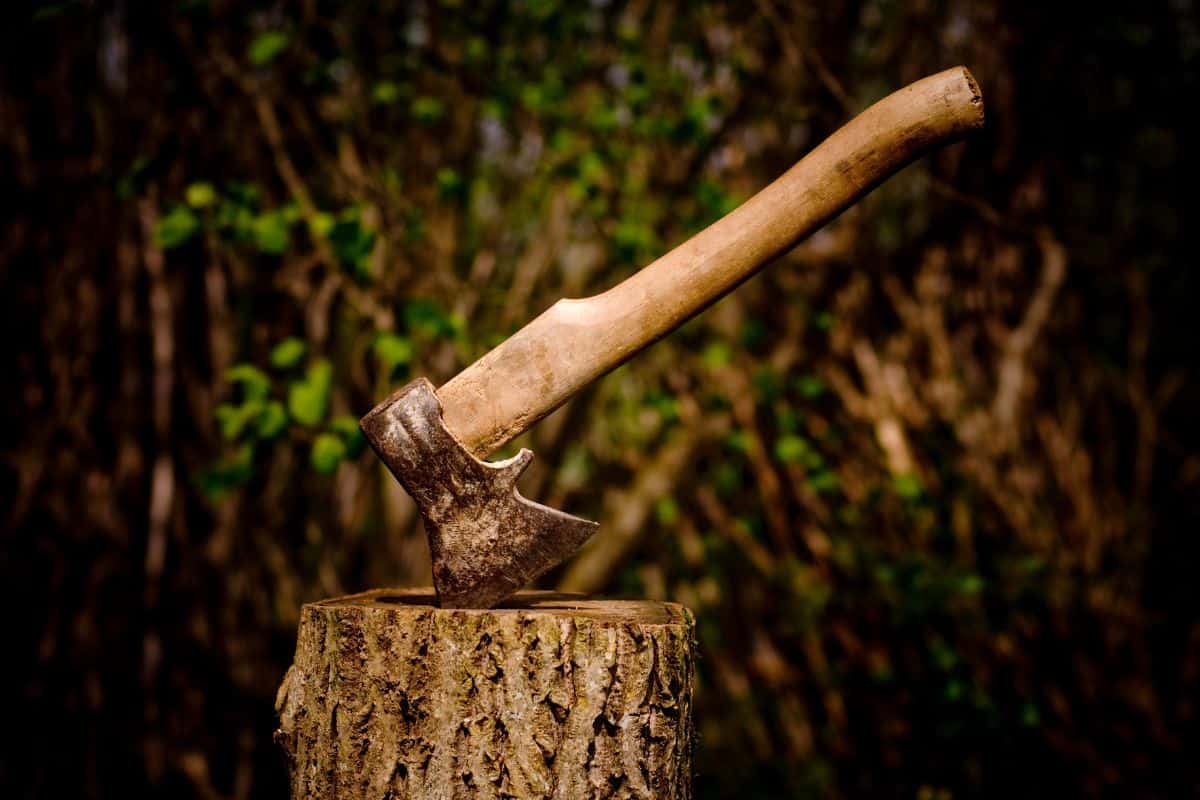 A axe stuck in a piece of wood