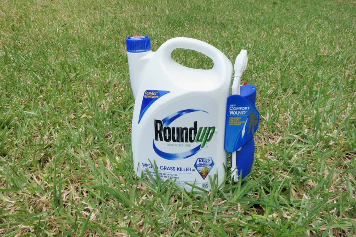 A container of Roundup Weed and Grass Killer on a grass lawn. Roundup is a popular gardening and landscaping product that is manufactured by the Scotts Company LLC.
