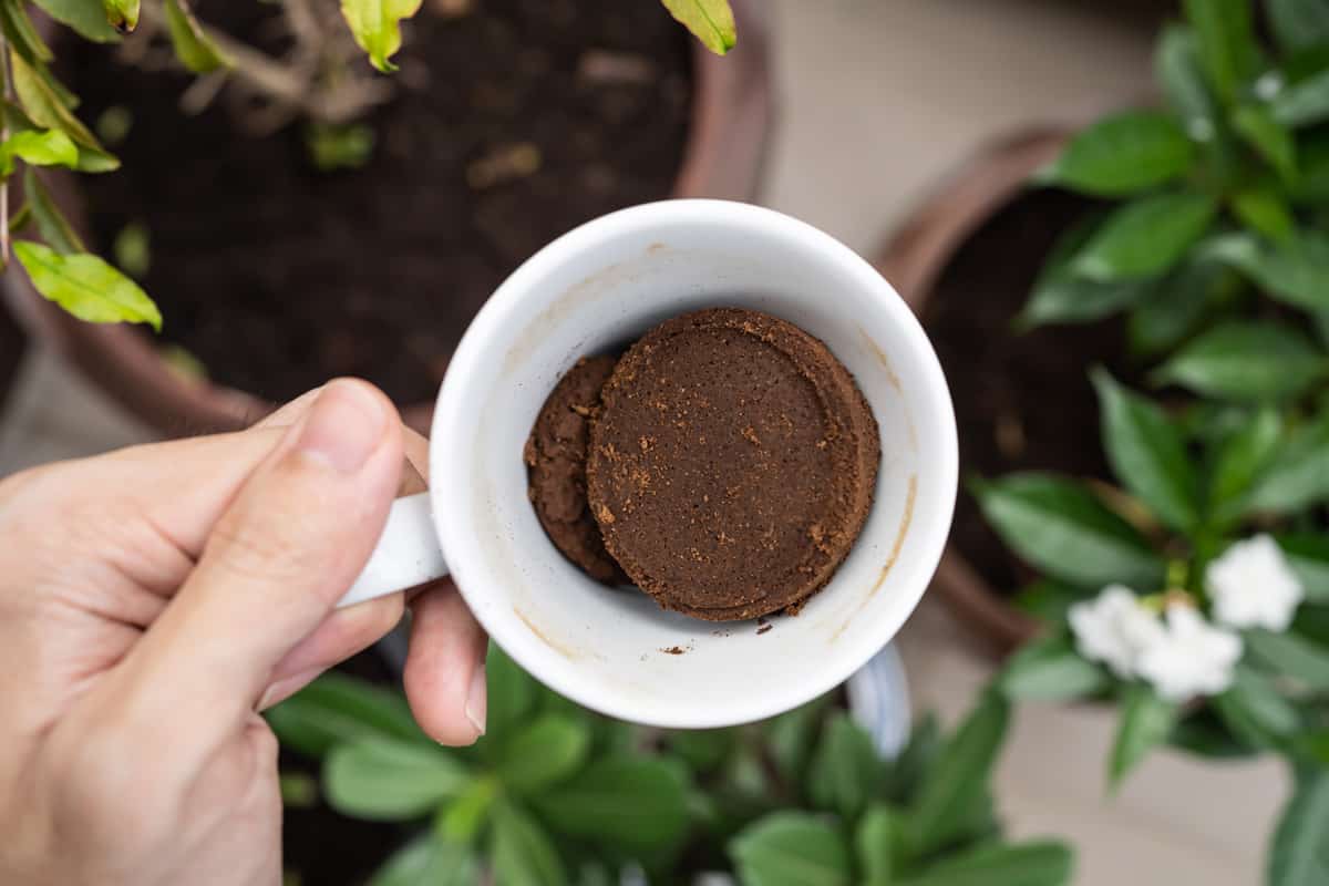 A cup full of coffee grounds