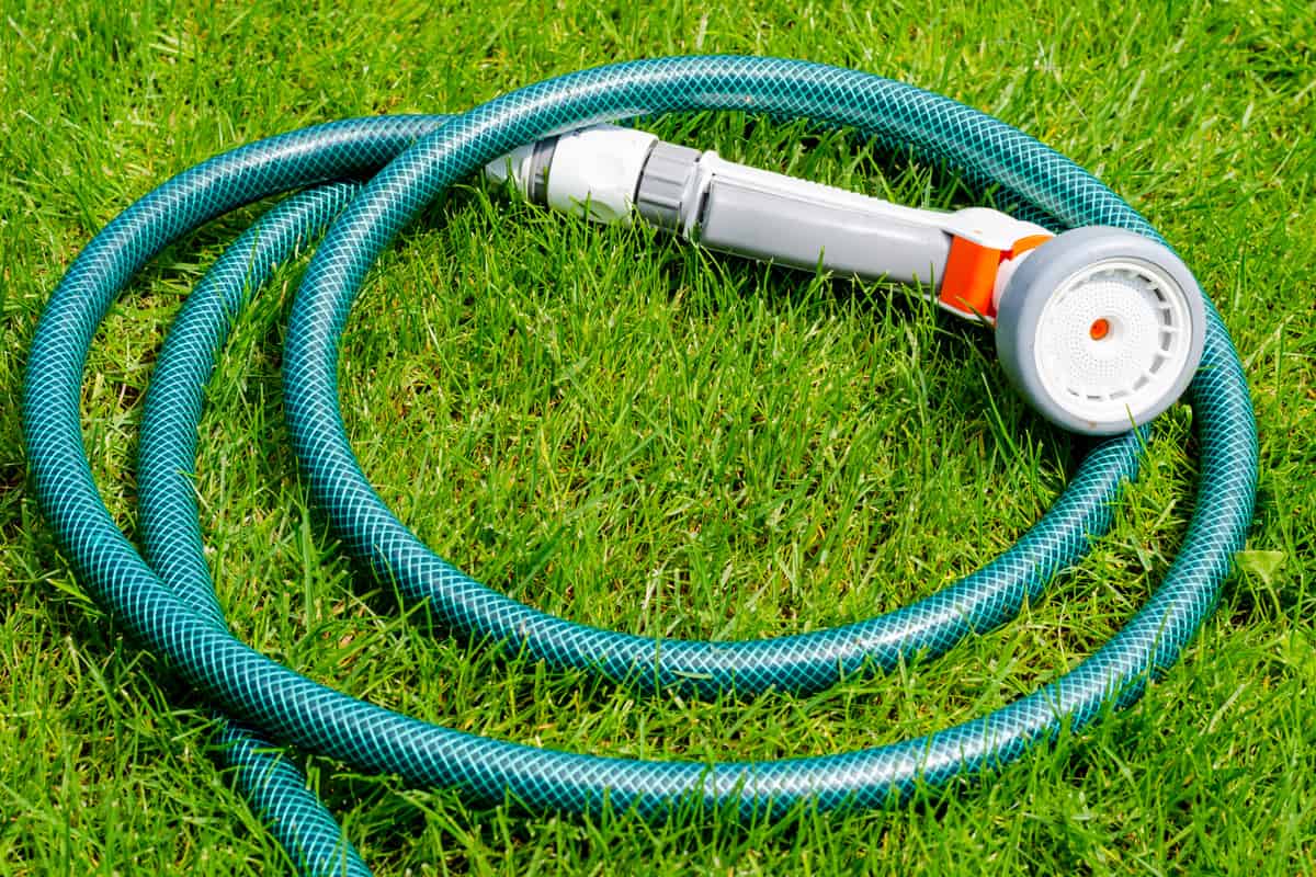 A garden hose on the lawn
