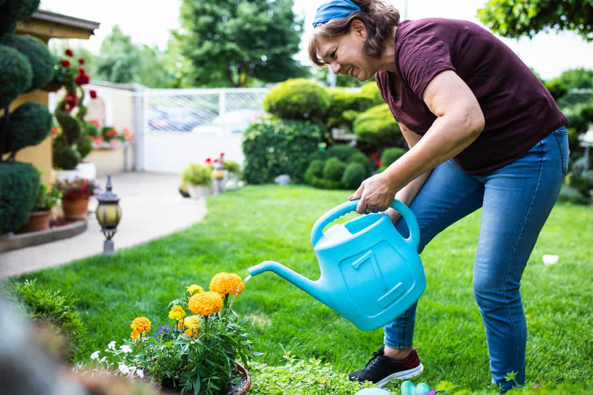 A happy mature woman is watering plants in her garden