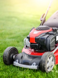 A red colored lawn mower used in the garden to trim the lawn, Toro Personal Pace Not Working - Why And What To Do?