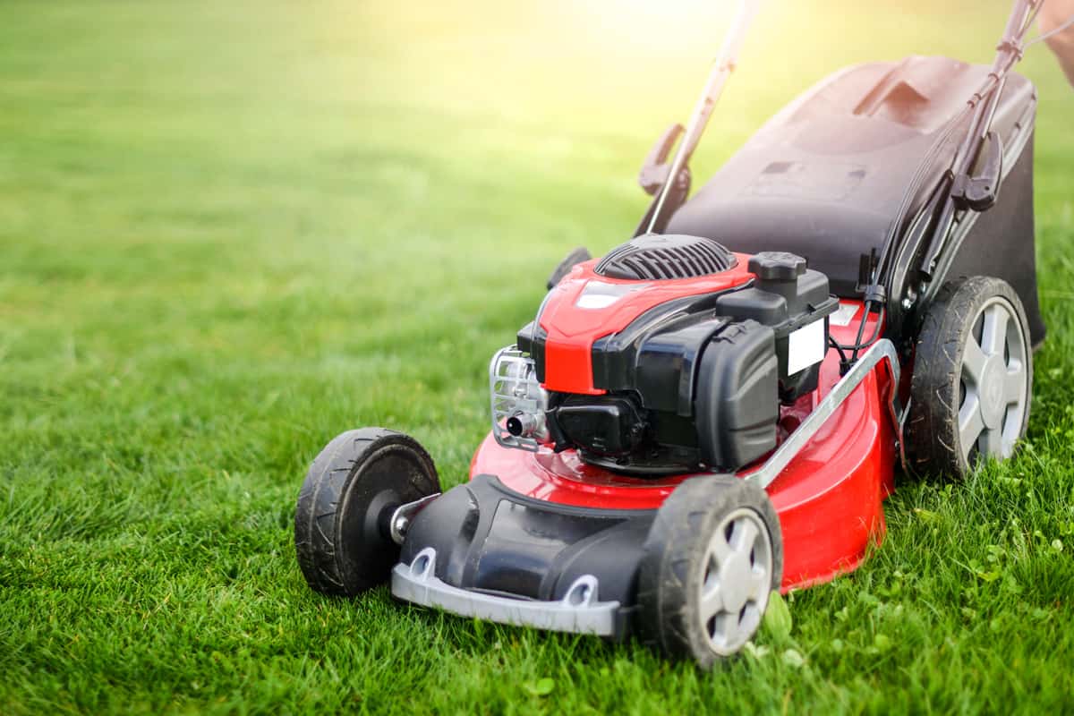 A red colored lawn mower used in the garden to trim the lawn, Toro Personal Pace Not Working - Why And What To Do?