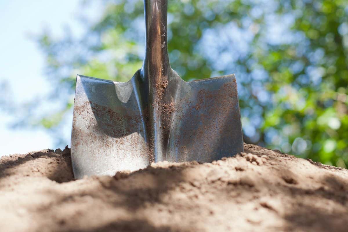 A shovel is stuck in a pile of dirt with bokeh in the background.