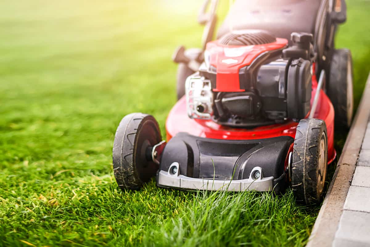 A toro lawn mower used in the garden