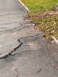 A broken footpath through a tree root, How To Remove Tree Roots From Under Your Driveway?