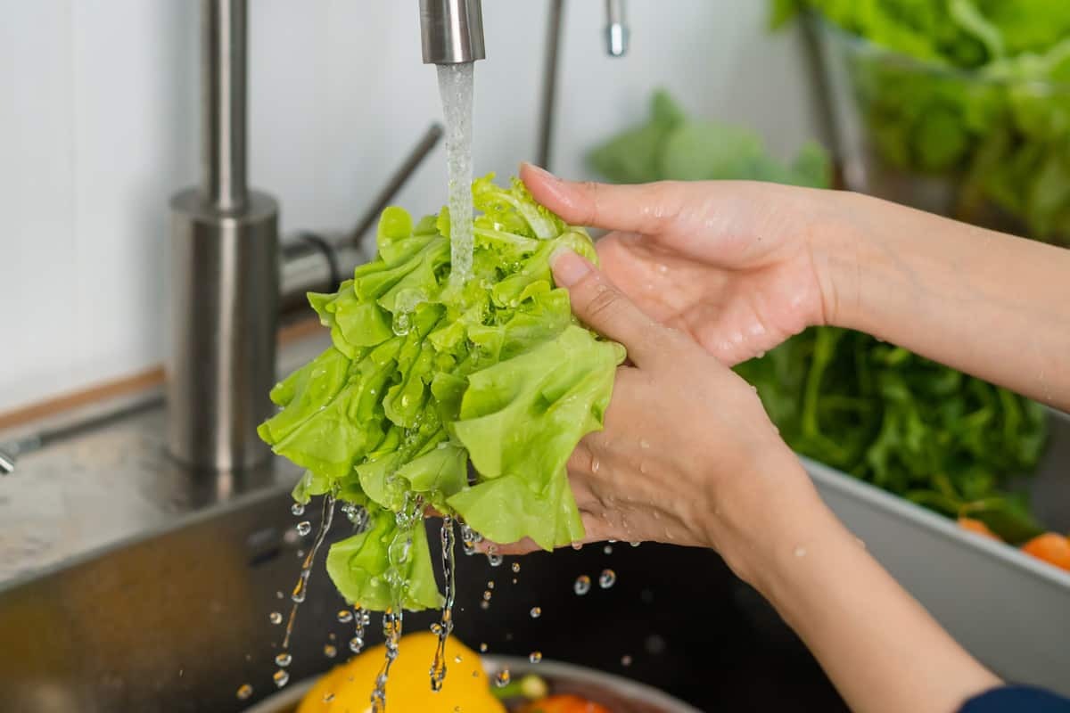 Close up asian young woman washing hydroponic green oak lettuce, fresh vegetables with splash water in basin of water on sink in kitchen, preparing fresh salad, cooking meal.