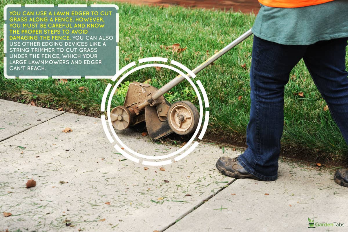 trim-lawn-edge man gardener worker, Can You Use An Edger Along A Fence [Without Causing Damage]?