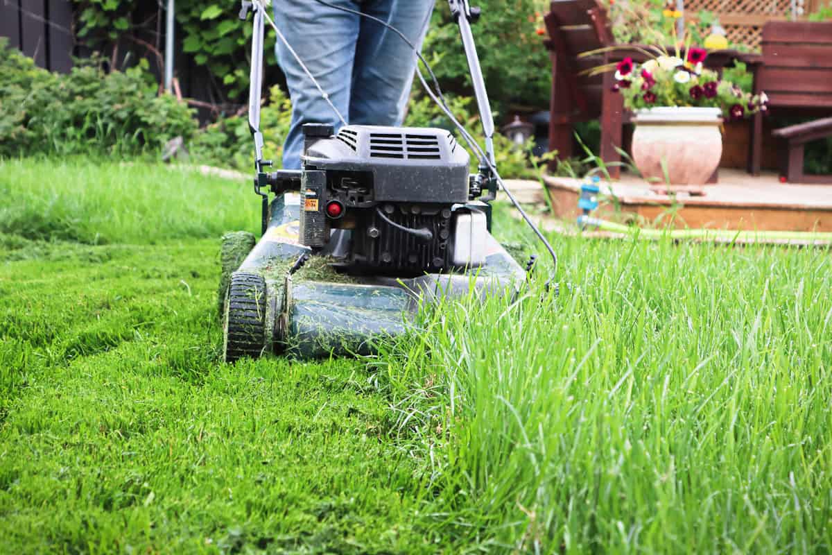 Close up of a lawnmower cutting tall grass