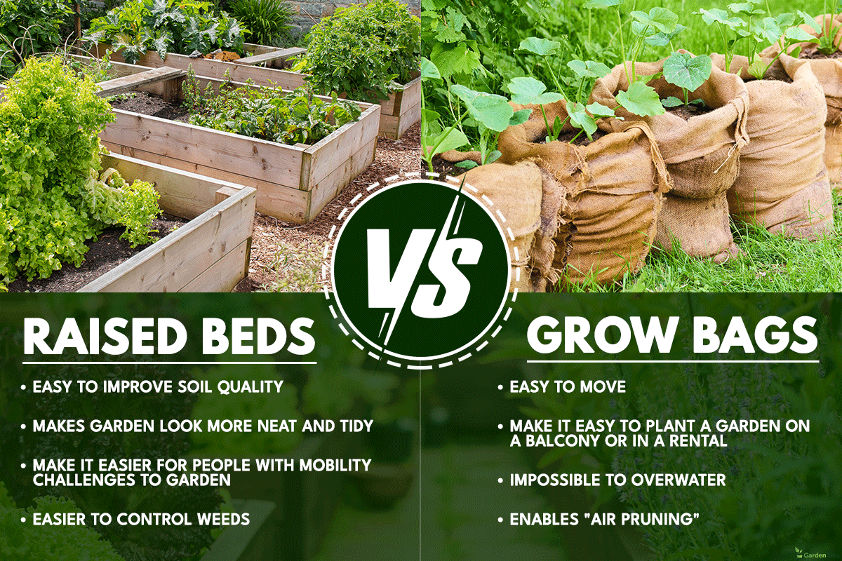 Comparison between raised beds and grow bags, Grow Bags Vs Raised Beds: Which Is Better?