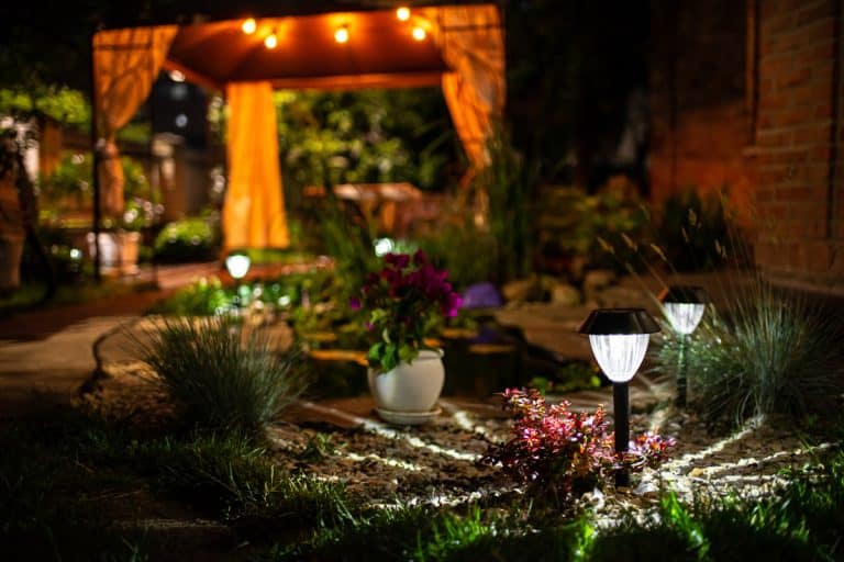 Decorative Small Solar Garden Light, Lanterns In Flower Bed. Garden Design. Solar Powered Lamp, Do You Leave Solar Lights On All The Time? Should You?
