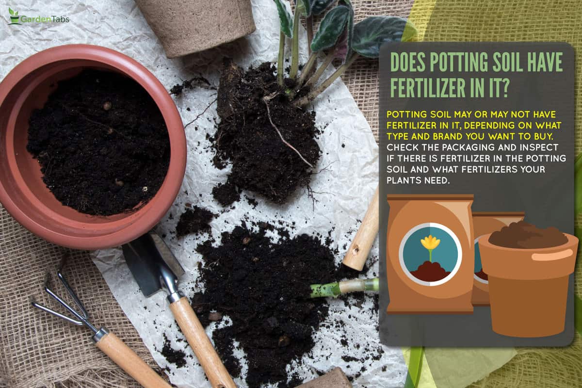 potted-flowers-replanting-flat-top-view, Does Potting Soil Have Fertilizer In It?