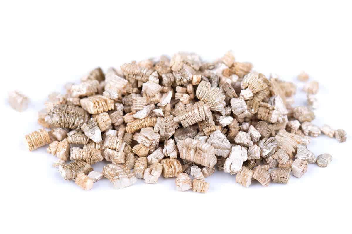 Exfoliated vermiculite mineral, isolated on white background. Mineral used in gardening.
