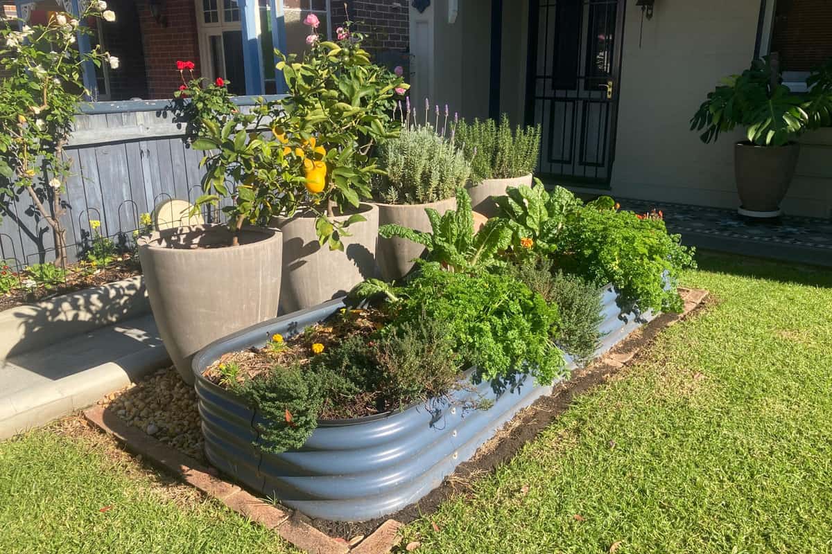 Front garden of a house with a raised vegetable garden beds