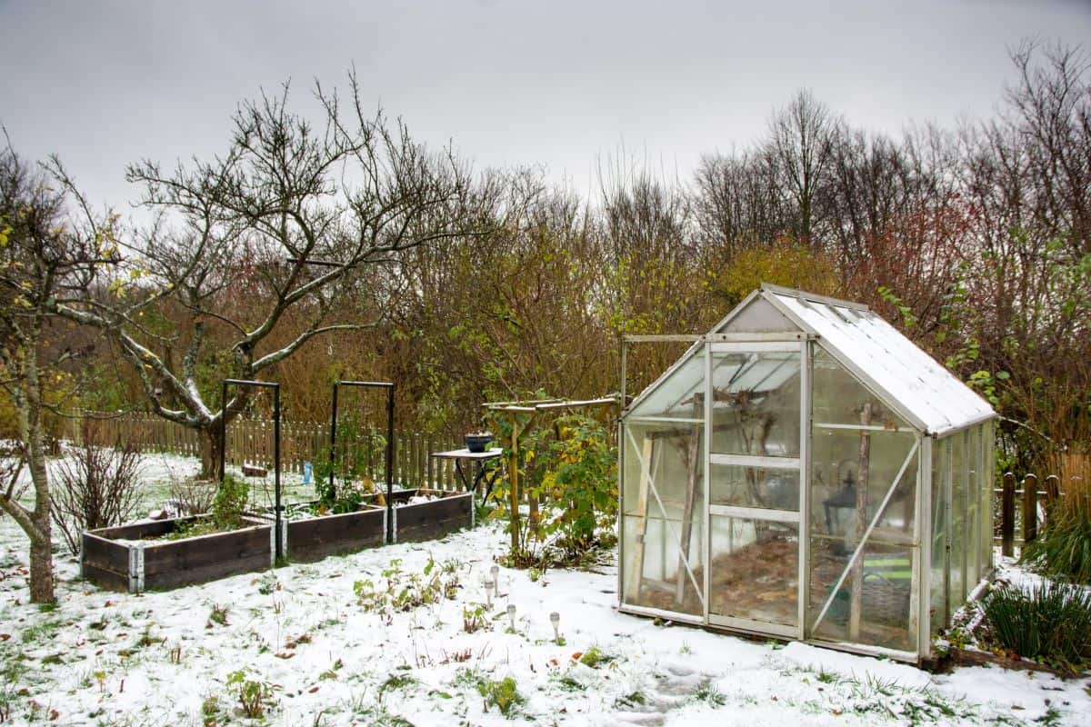 Garden greenhouse covered with the first snow in winter