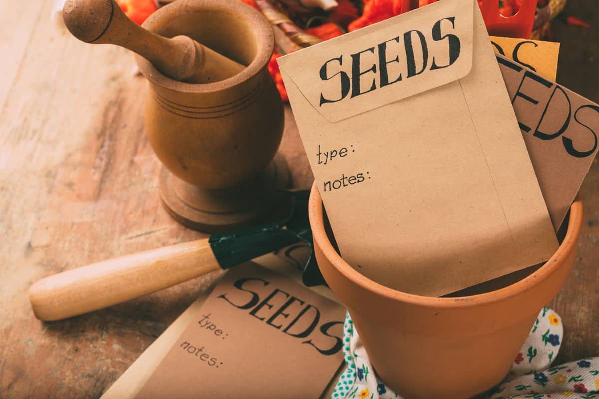 Garden table with seeds envelopes