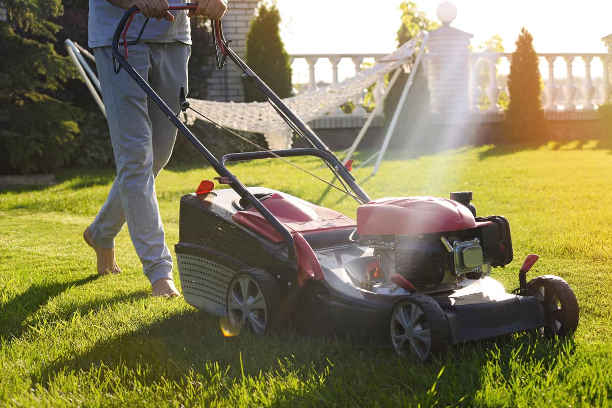 Gardener using a lawn mower in his lawn