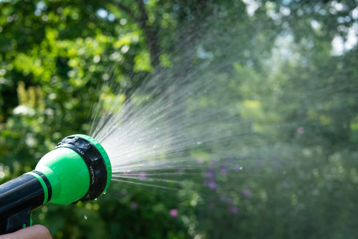 Gardener's hand holds a hose with a sprayer and watered the plants in the garden.