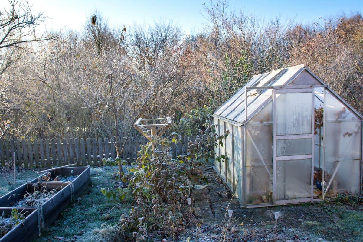 Greenhouse and garden beds in winter