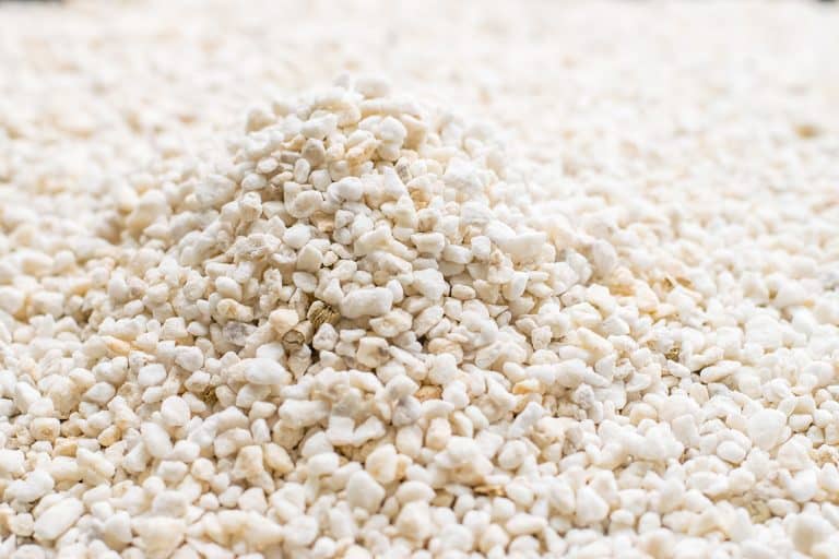 Heap of perlite for hydroponics, Perlite Rising To Top Of Soil - Why And What To Do?
