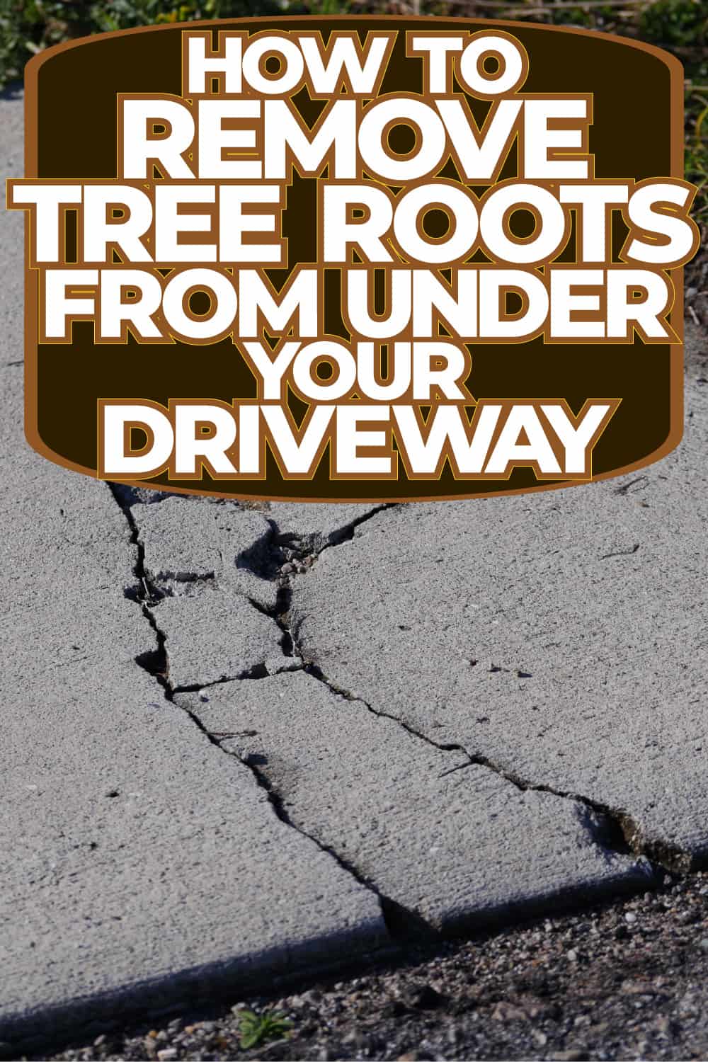 How To Remove Tree Roots From Under Your Driveway