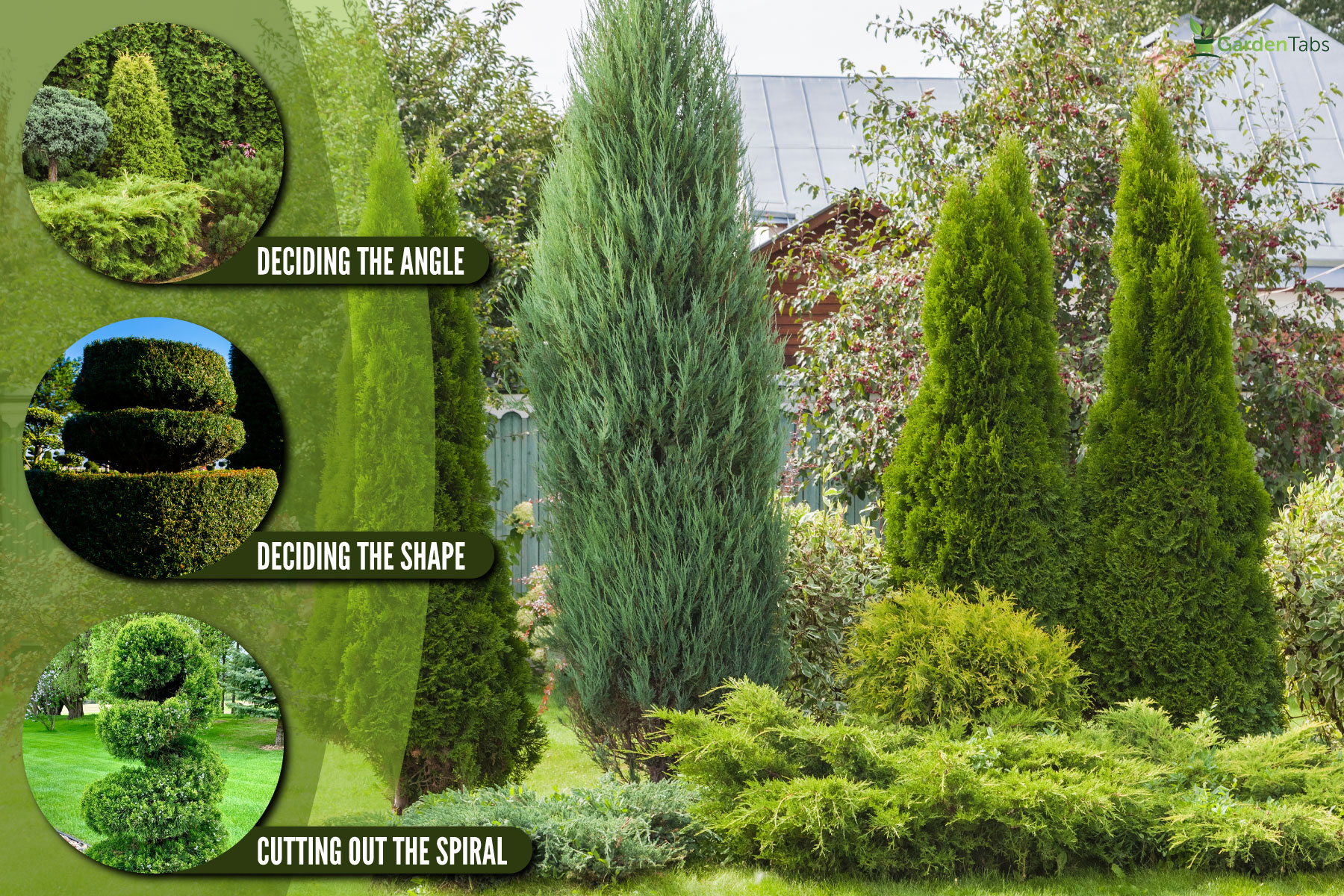 landscaping-conifers-mix-trees-shrubs, How To Shape A Conifer Tree Into A Spiral [Step By Step Guide]