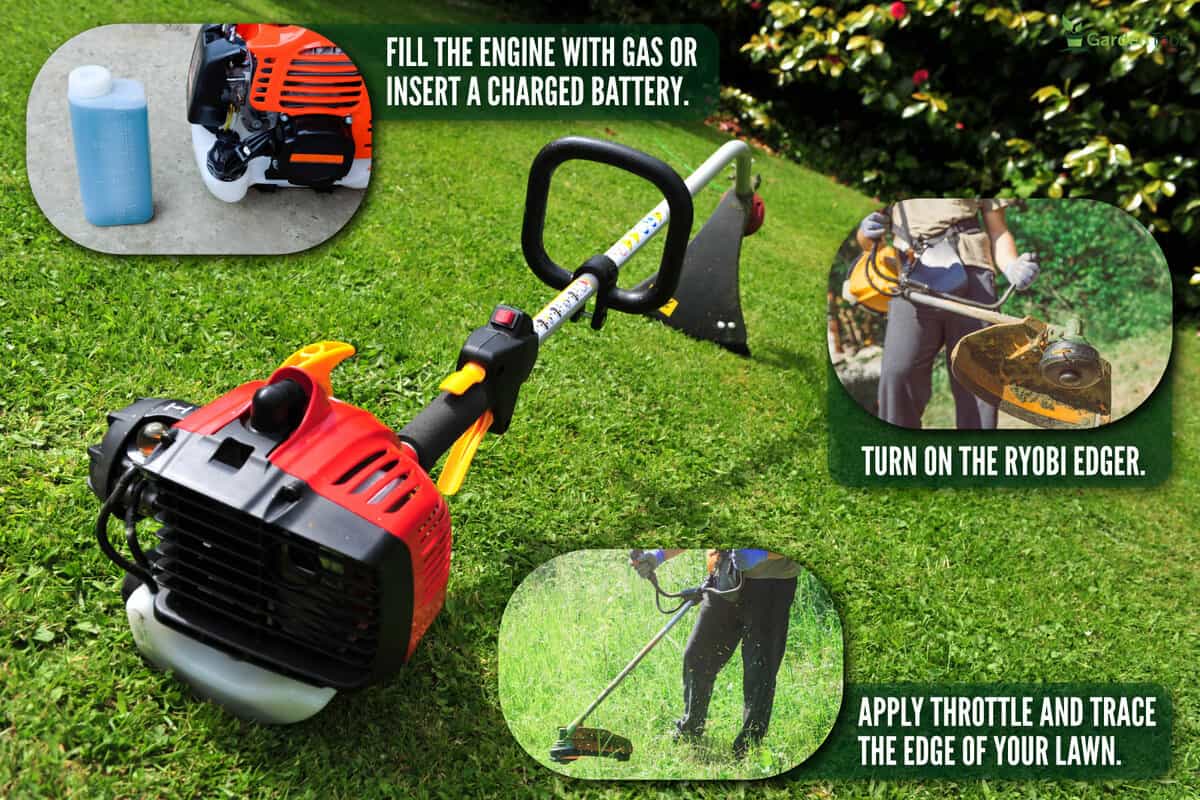 Domestic garden strimmer - differential focus sharpness on trigger, How To Use A Ryobi Edger [Step By Step Guide]