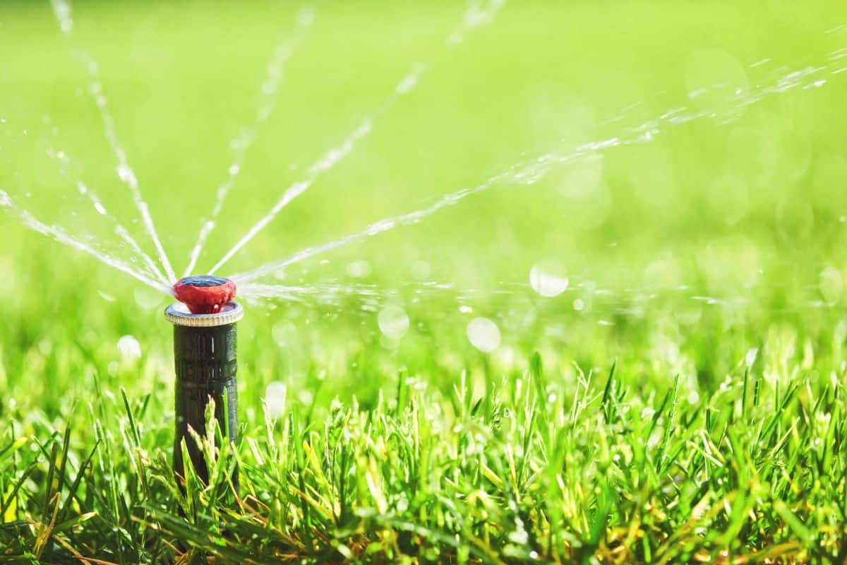 Irrigation sprinkler system at work in a back yard during summer