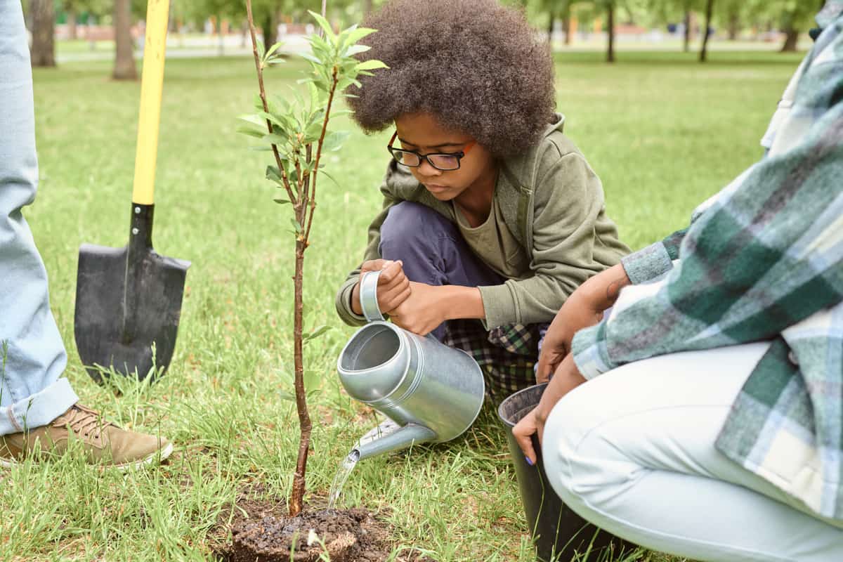 Little African boy watering small tree after planting it in park