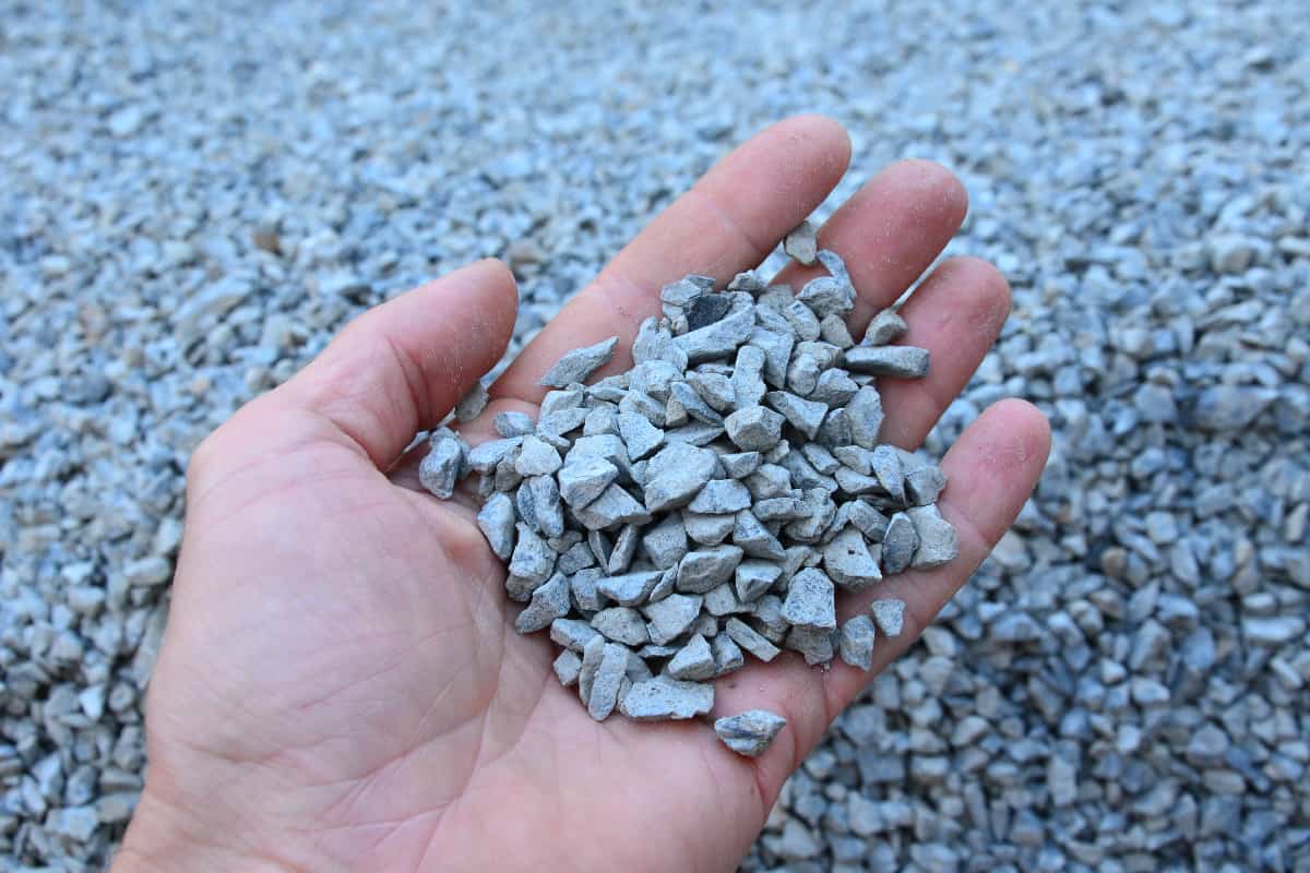 Man holds in his hand a sample of stone gravel or pebbles of one size