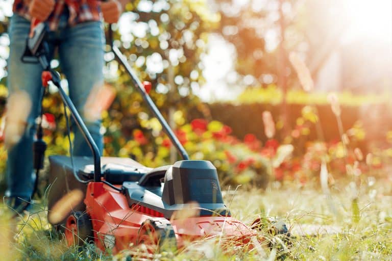 A man using a lawn mower, Mulching Mower Leaving Clumps - Why And What To Do?
