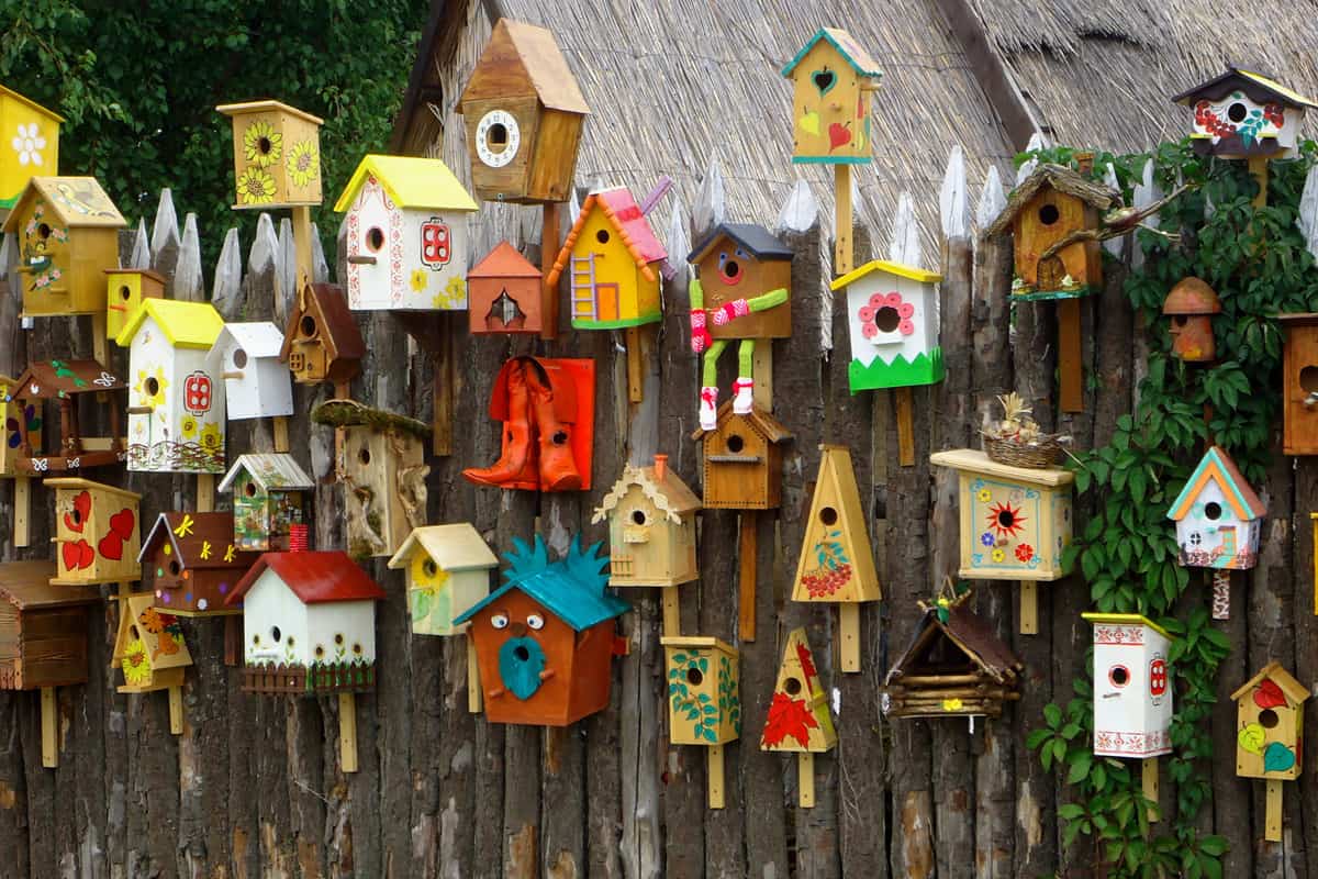 Many different shapes bird feeders birdhouse for nesting box hanging on wooden fence. 