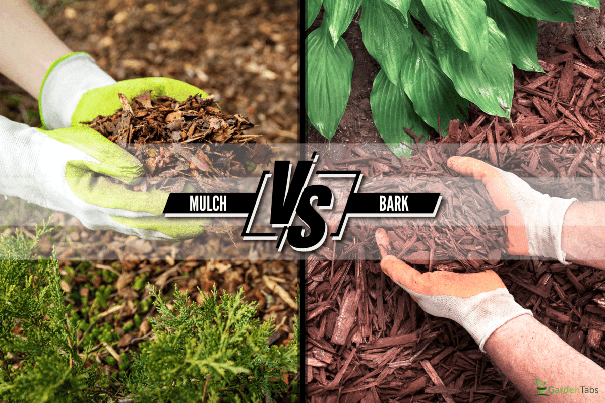 collab-photo-of-Mulch and Bark, Mulch Vs Bark: Which Is Better For Your Yard Project?