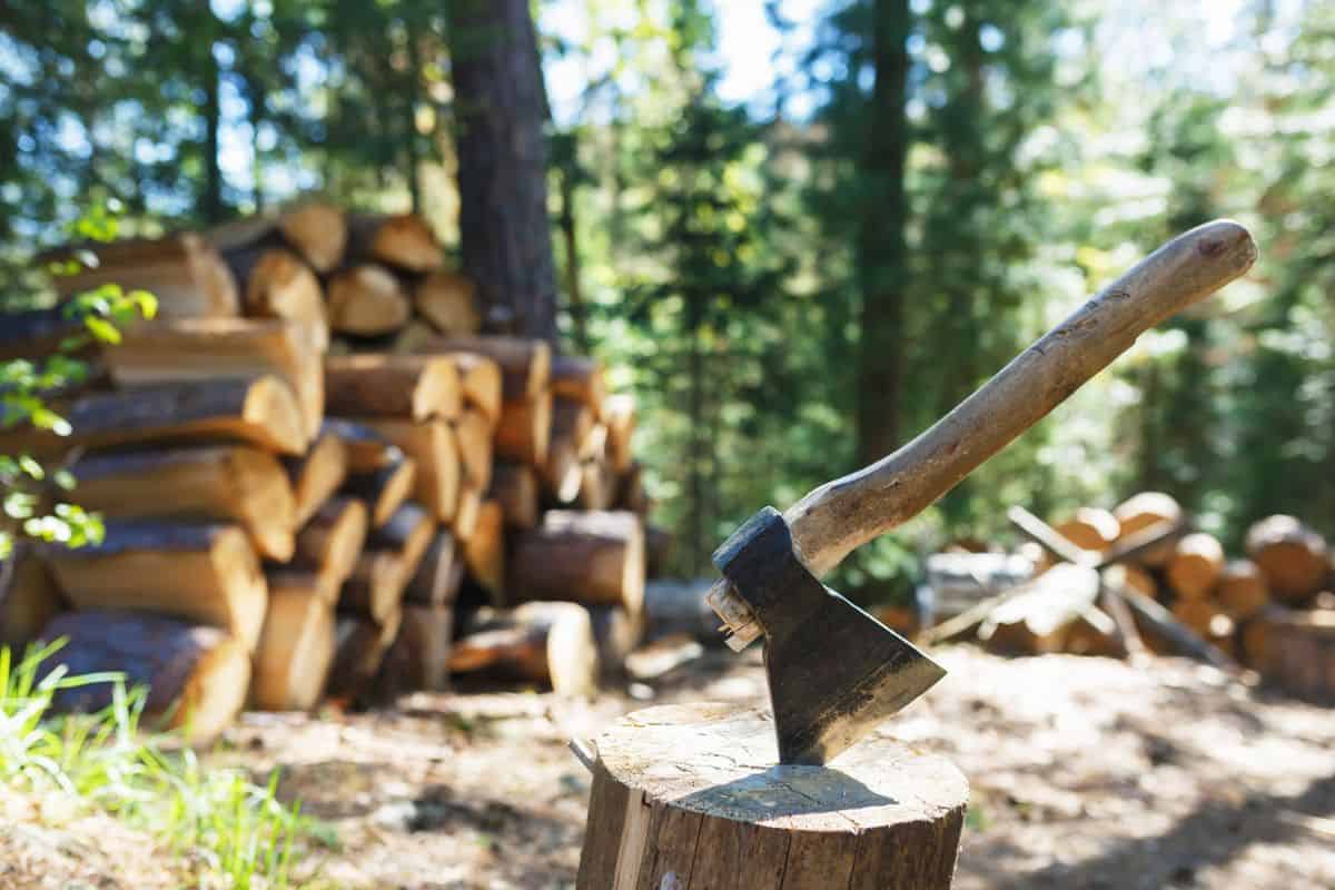 Old axe standing against a piled pieces of firewood in wood