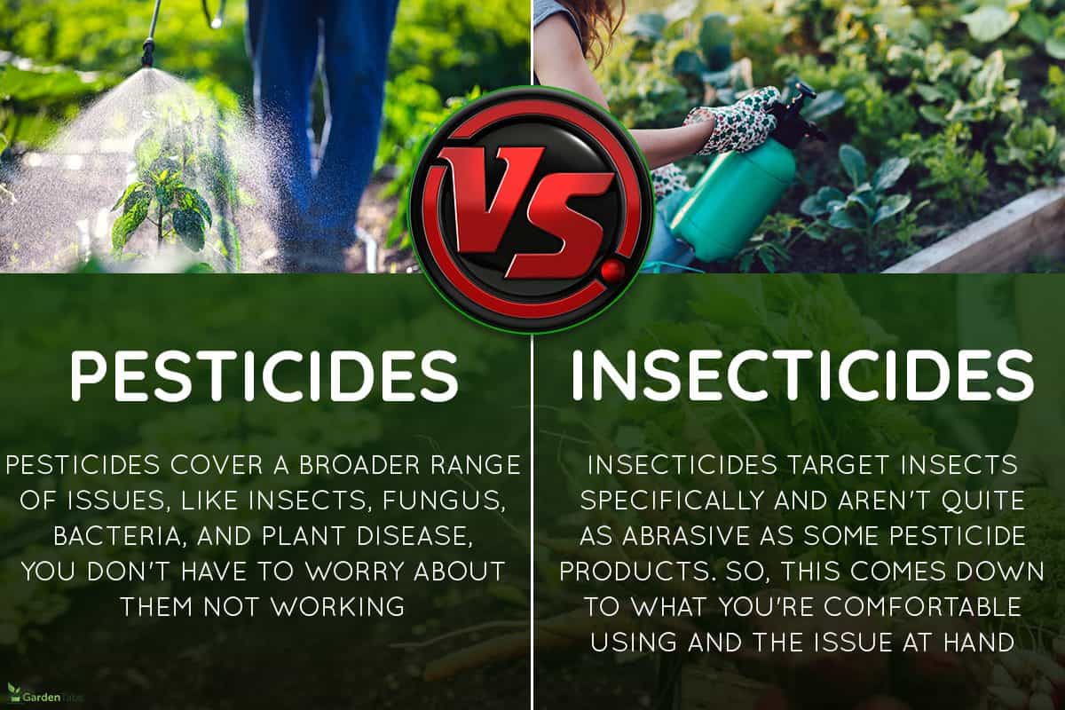 A farmer spraying pesticides on green vegetable plants, Pesticides Vs. Insecticide - Which Is Best For Your Home Vegetable Garden?