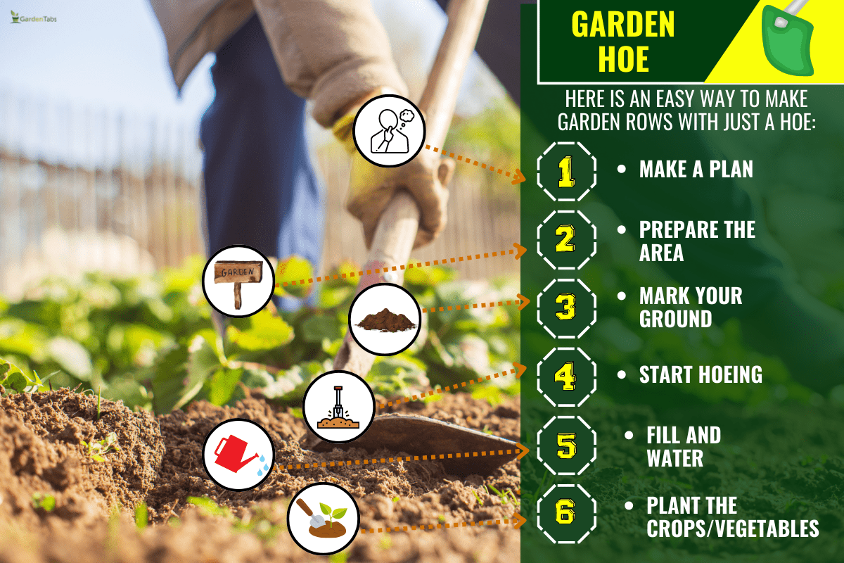 Preparing an agricultural field for planting seasonal vegetables and fruits in spring. Garden seasonal work concept. - How To Make Garden Rows With A Hoe? [Step By Step Guide]