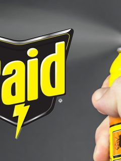 Raid insect killer spray, Will Raid Damage Vinyl Siding? [What Homeowners Should Know!]
