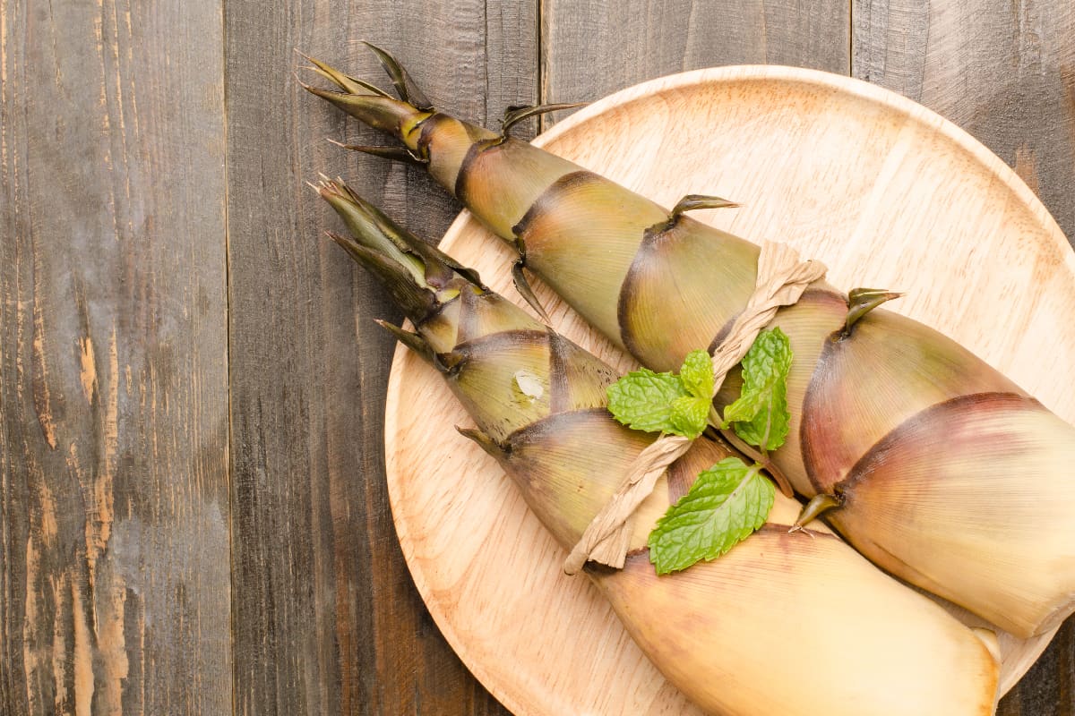 Raw bamboo shoot on wooden plate