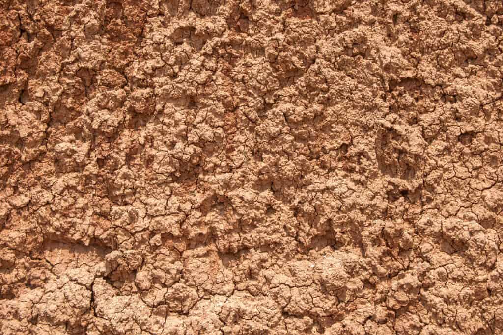 Red clay loam