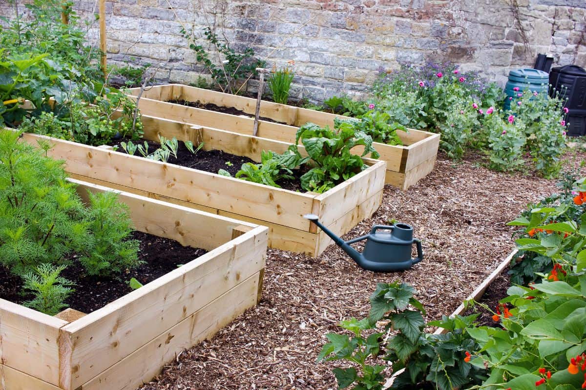 Rustic Country Vegetable & Flower Garden with Raised Beds.