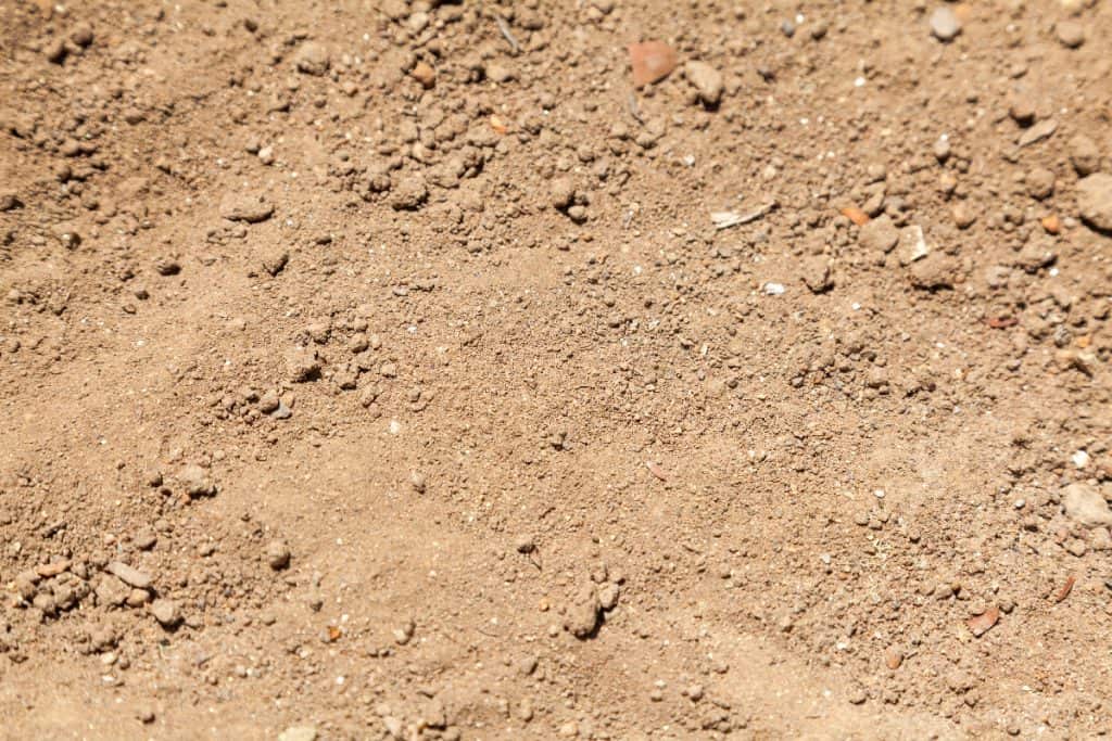 Sandy loam soil composition