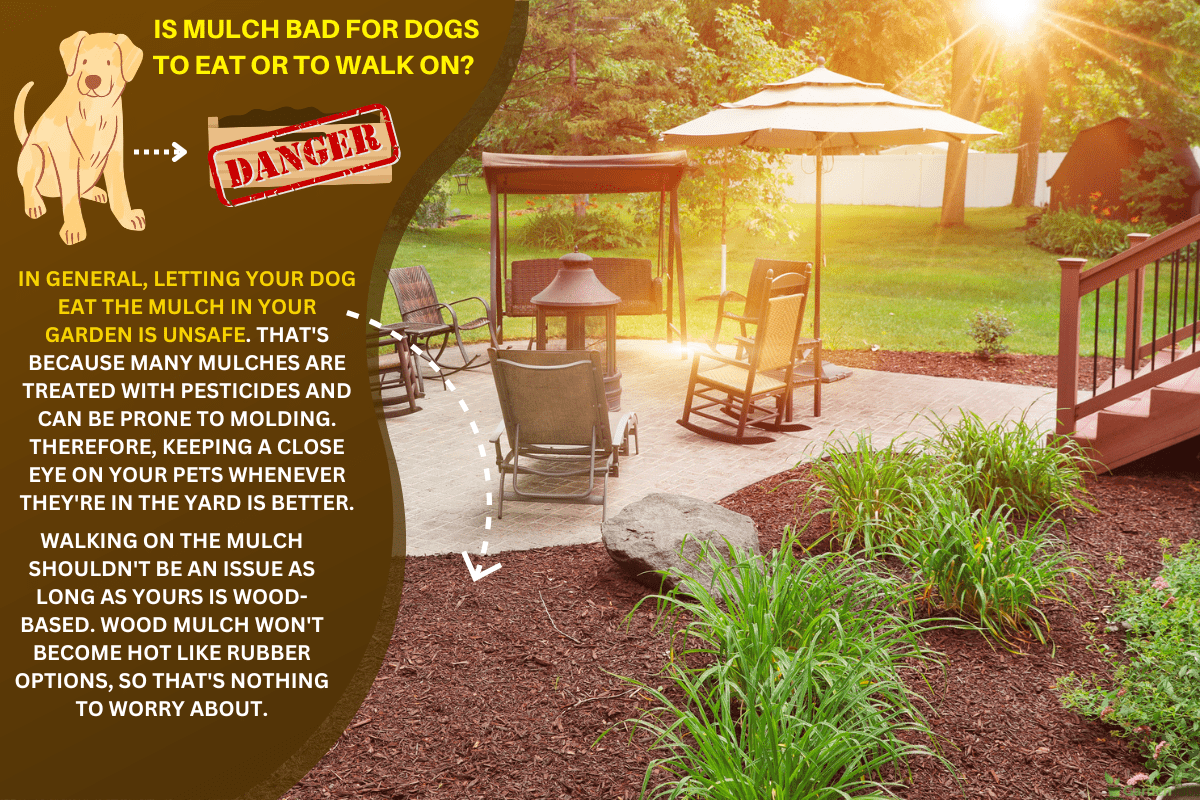Suburban backyard patio and garden. - Is Mulch Bad For Dogs To Eat Or To Walk On? - Here's What You Need To Know!