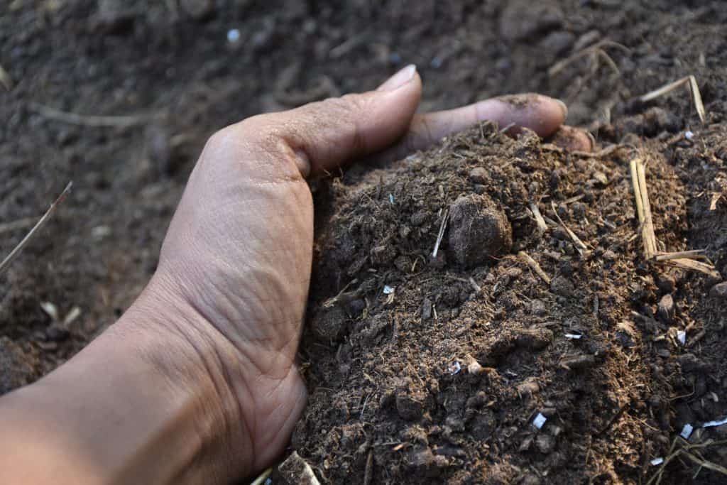 Woman holding pile of soil above ground
