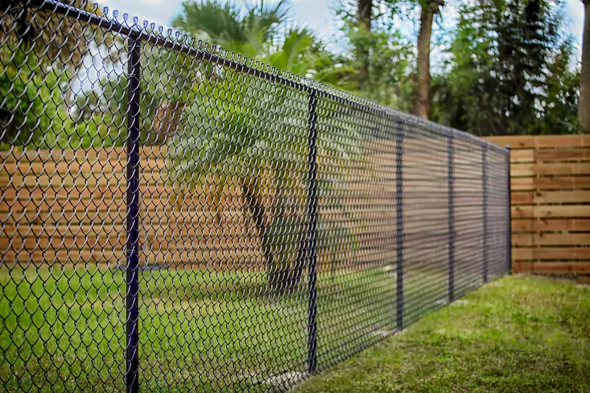 black-chain-link-fence on backyard