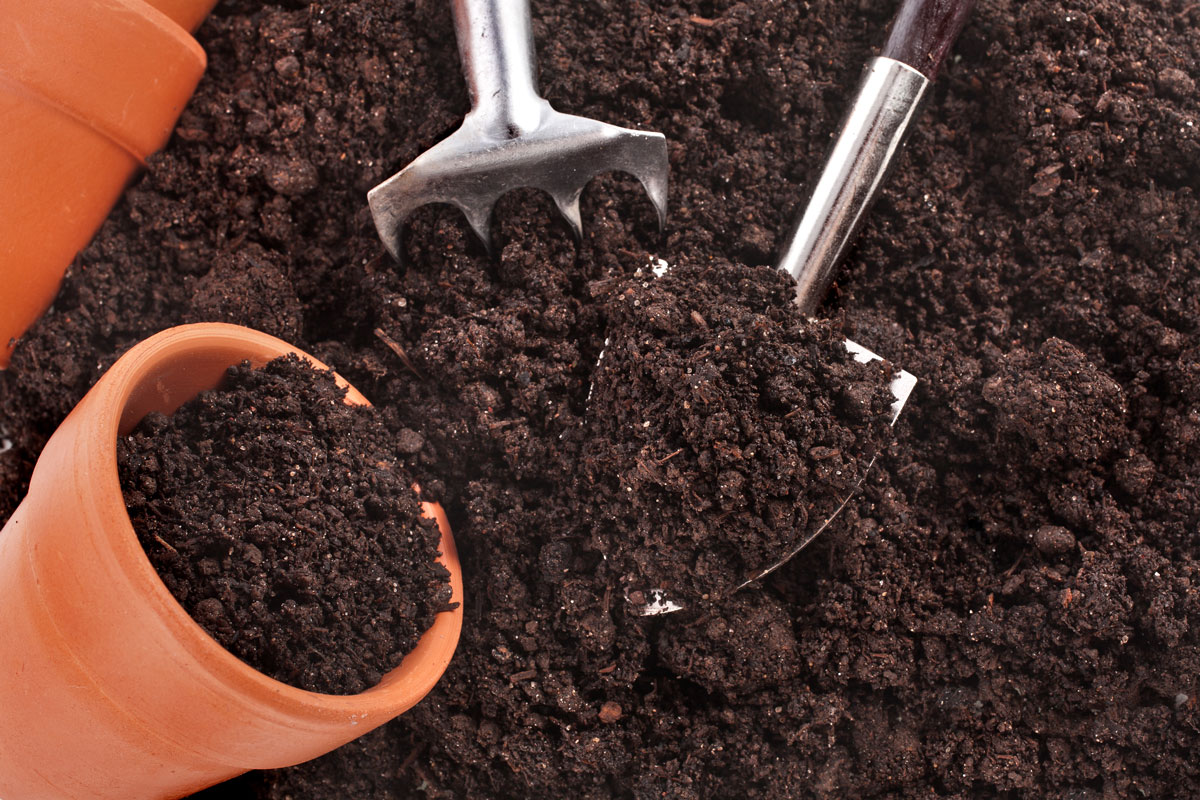 gardening-tools-seedling-soil-surface-background