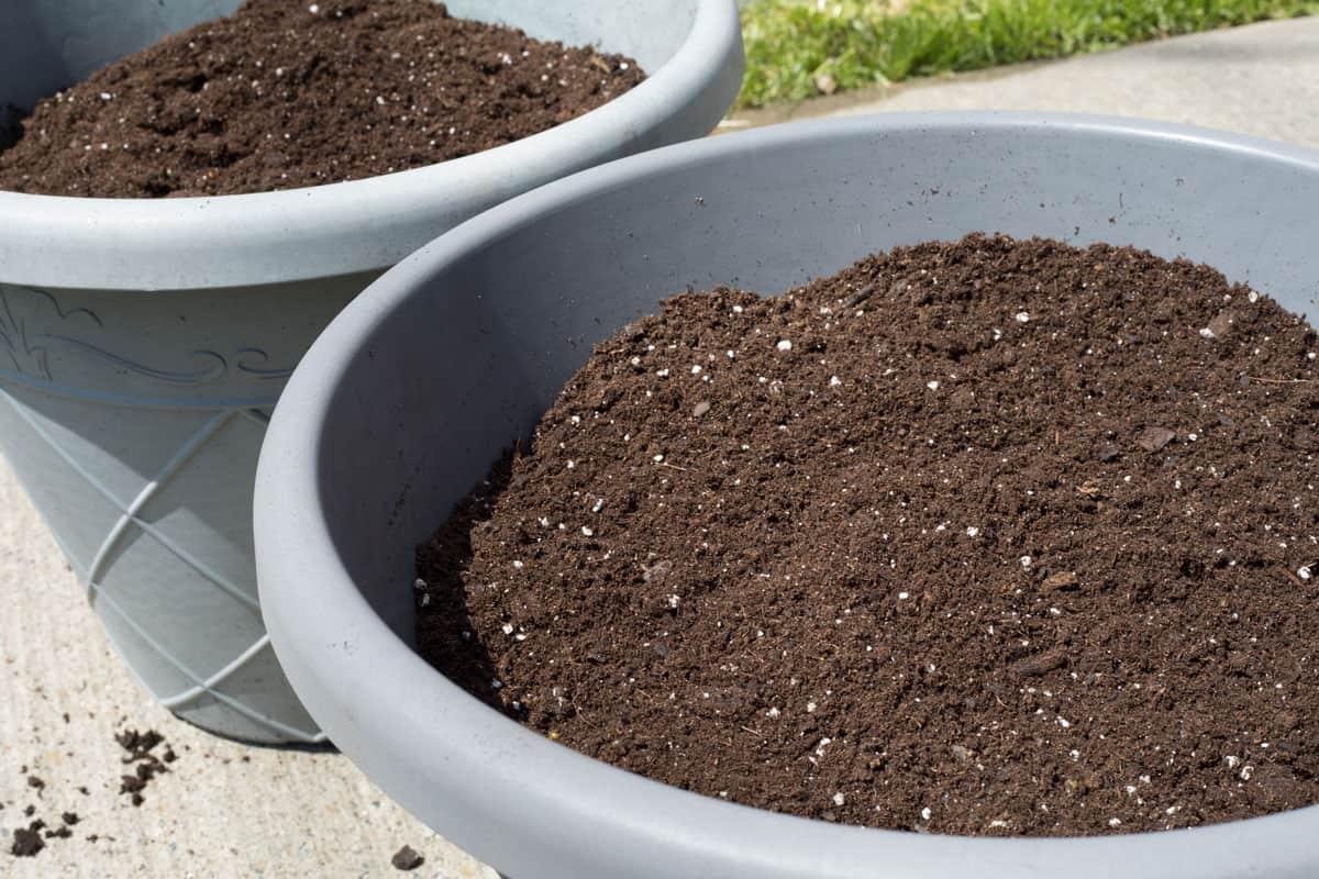 potting-soil-large-gray-pots