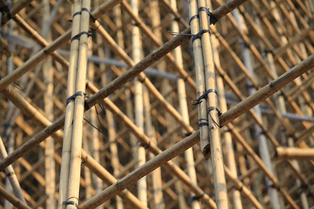 traditional bamboo Scaffolding close up with many bamboo