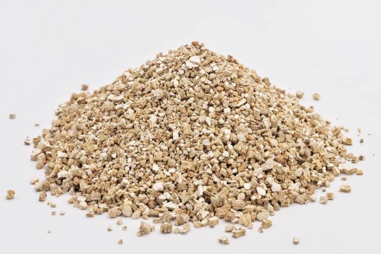 vermiculite on white background in studio - Do You Need Vermiculite To Grow Mushroom