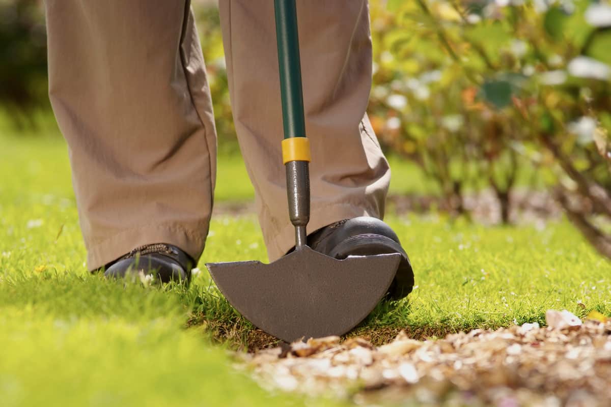 A man in steel-toe cap boots presses down onto a metallic lawn edger to excavate earth beneath it