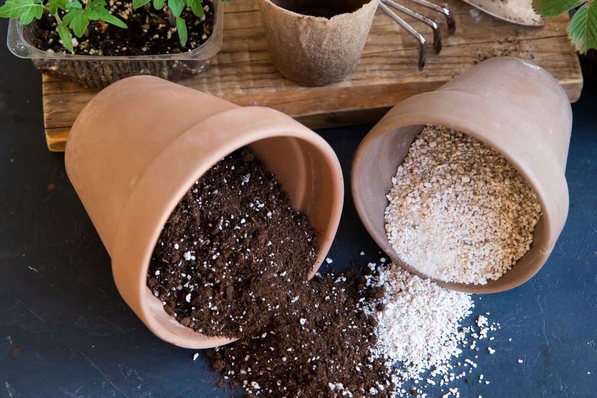 A mixture of ground, perlite and vermiculite. The concept growing vegetables indoor. Pot with soil for growing tomato. Substrate for seedlings. Organic farming, eco-farm.